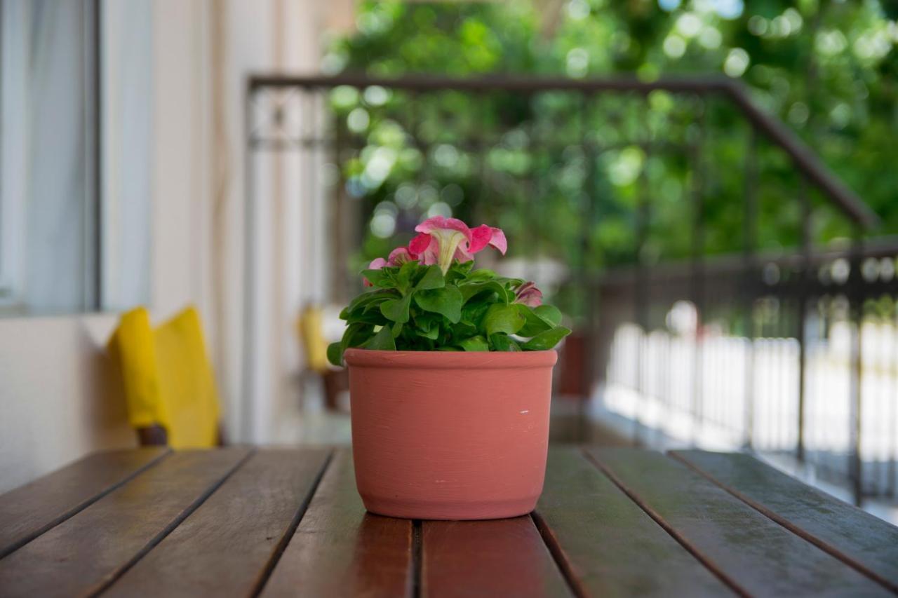 Vrasná Xenia Palace Luxury Apartments מראה חיצוני תמונה