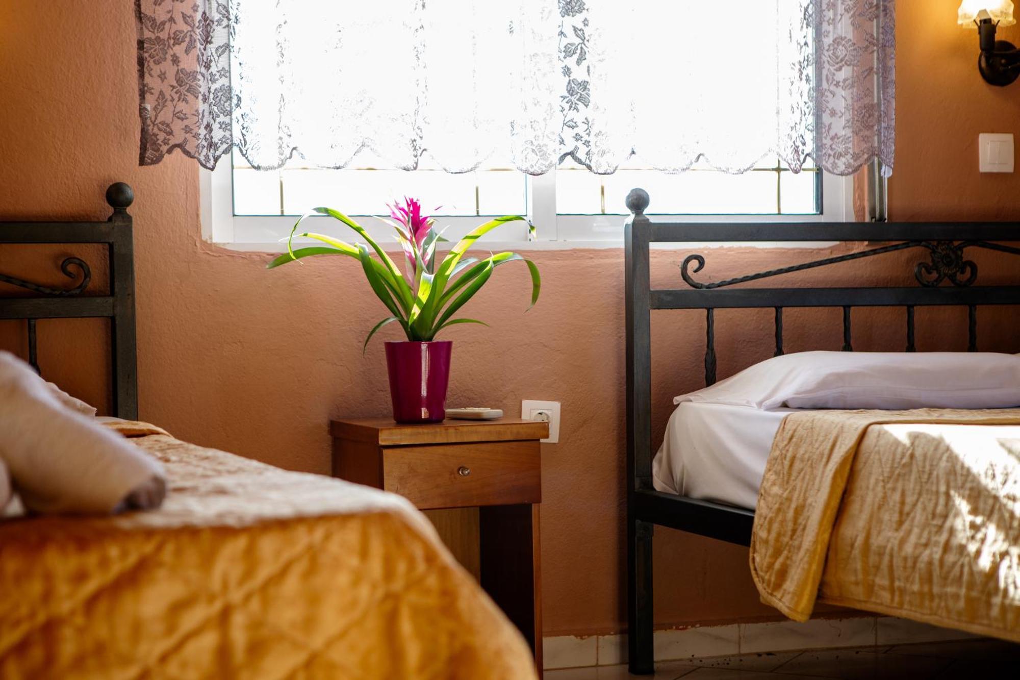 Vrasná Xenia Palace Luxury Apartments מראה חיצוני תמונה